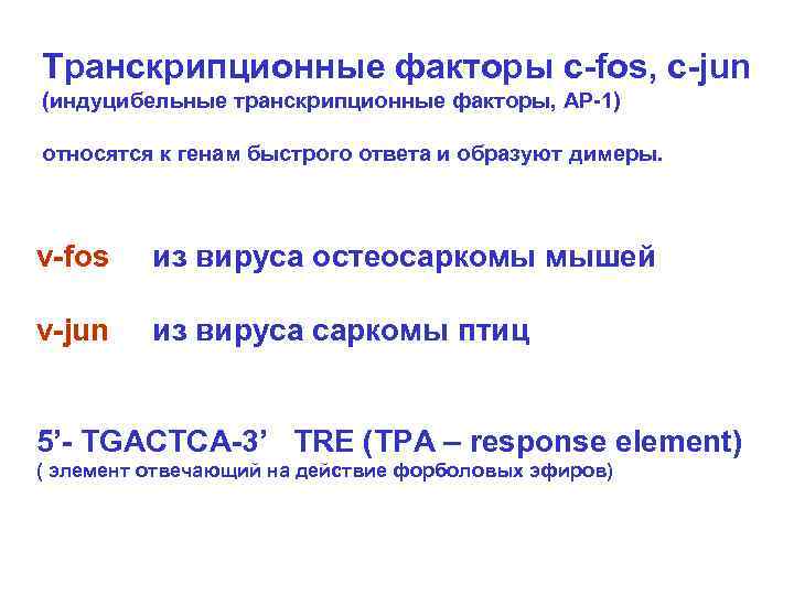 Транскрипционные факторы c-fos, c-jun (индуцибельные транскрипционные факторы, АР-1) относятся к генам быстрого ответа и