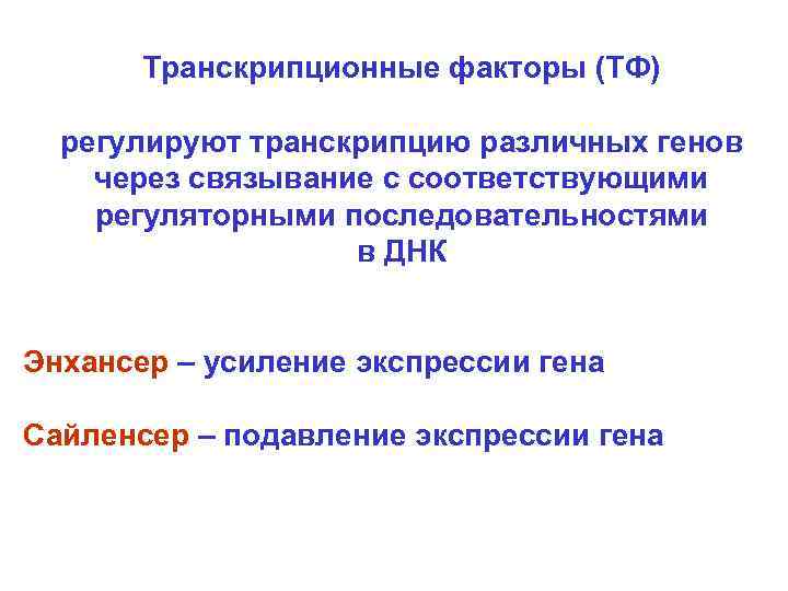 Транскрипционные факторы (ТФ) регулируют транскрипцию различных генов через связывание с соответствующими регуляторными последовательностями в