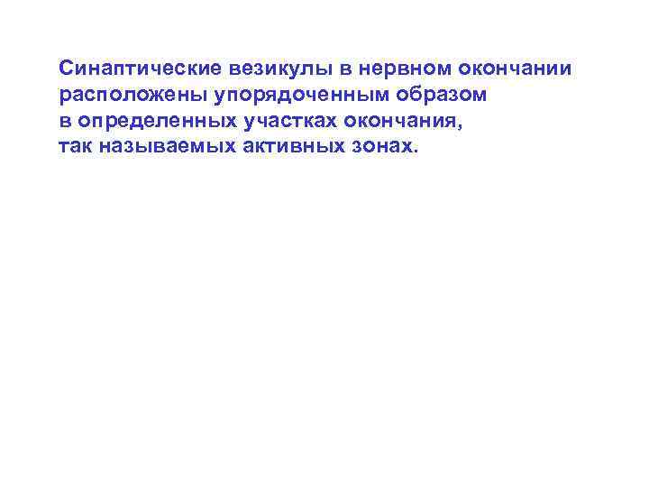 Синаптические везикулы в нервном окончании расположены упорядоченным образом в определенных участках окончания, так называемых