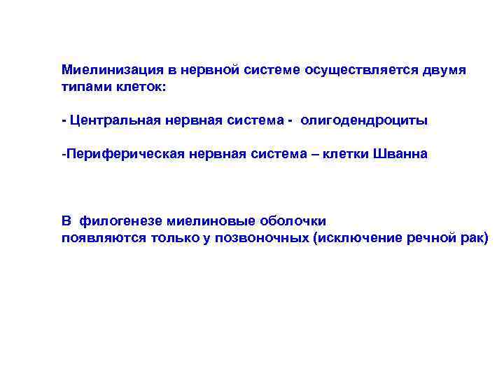 Миелинизация в нервной системе осуществляется двумя типами клеток: - Центральная нервная система - олигодендроциты