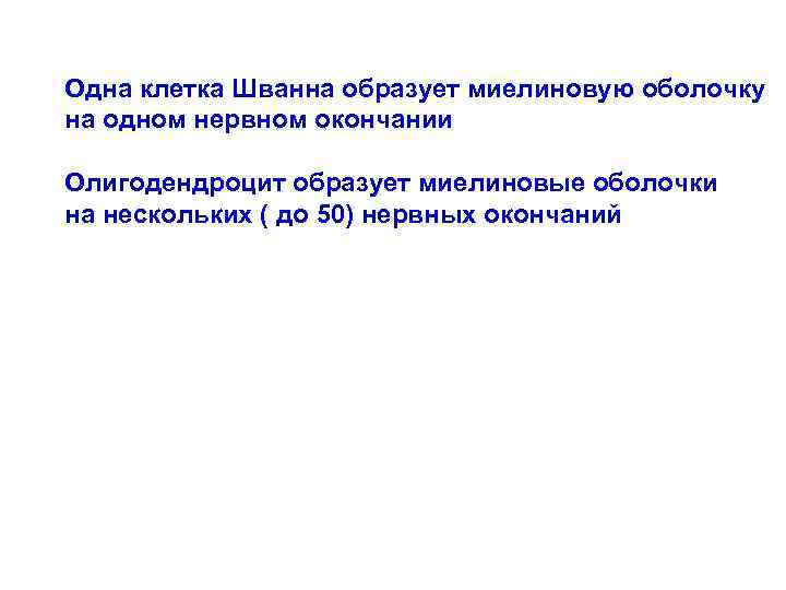 Одна клетка Шванна образует миелиновую оболочку на одном нервном окончании Олигодендроцит образует миелиновые оболочки