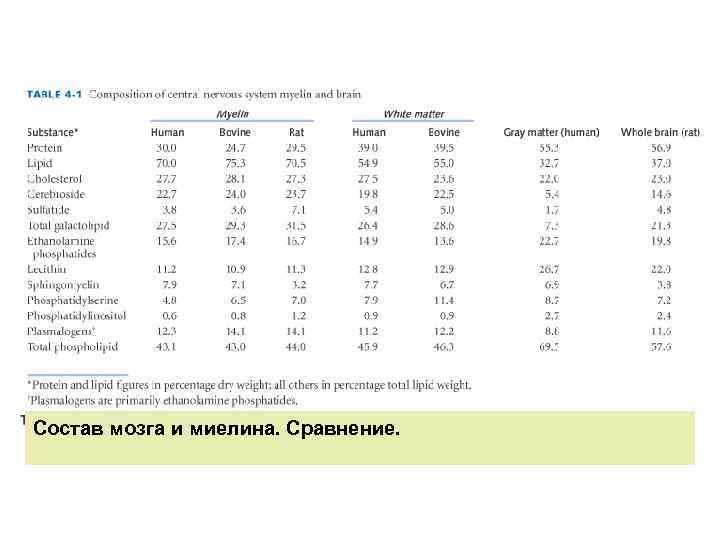 Состав мозга и миелина. Сравнение. 