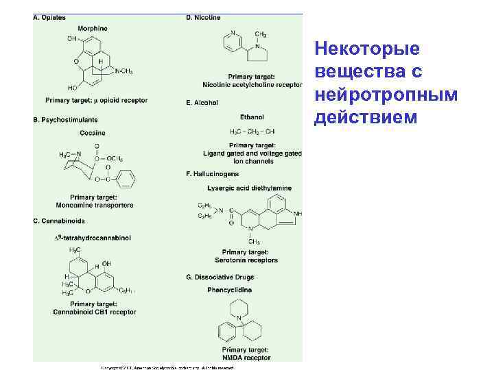 Некоторые вещества с нейротропным действием 