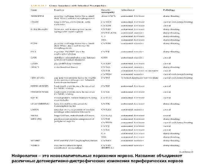 Нейропатия – это невоспалительные поражения нервов. Название объединяет различные дегенеративно-дистрофические изменения периферических нервов 