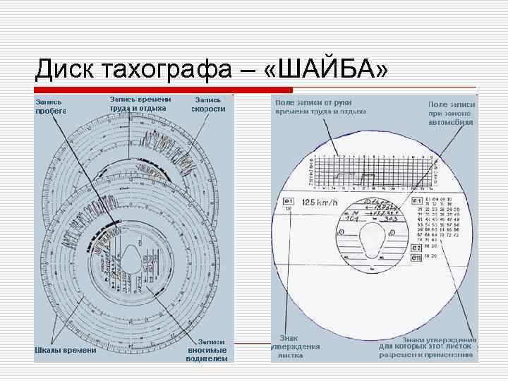 Диск тахографа – «ШАЙБА» 