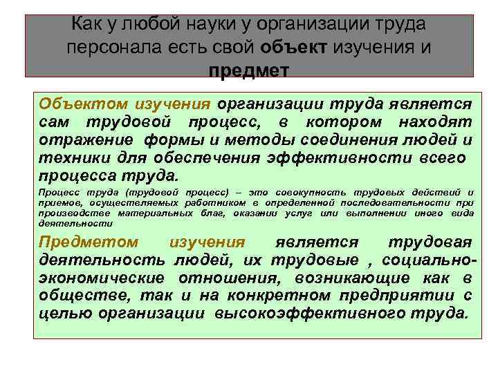 Как у любой науки у организации труда персонала есть свой объект изучения и предмет