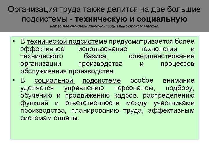 Организация труда также делится на две большие подсистемы - техническую и социальную естественно-техническую и