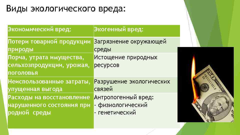 Виды экологического вреда: Экономический вред: Экогенный вред: Потери товарной продукции Загрязнение окружающей природы среды
