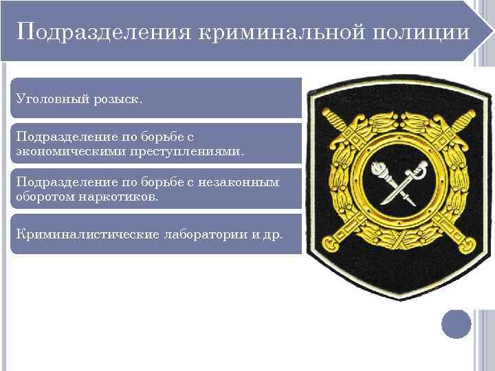 Подразделения криминальной полиции Уголовный розыск. Подразделение по борьбе с экономическими преступлениями. Подразделение по борьбе