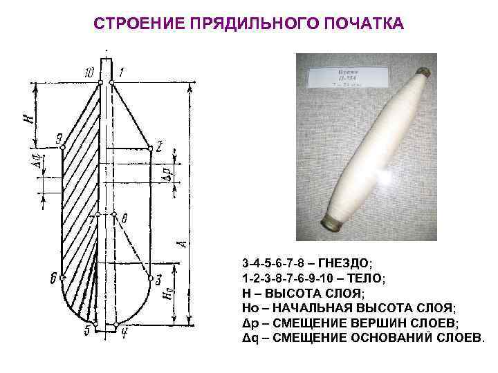 СТРОЕНИЕ ПРЯДИЛЬНОГО ПОЧАТКА 3 -4 -5 -6 -7 -8 – ГНЕЗДО; 1 -2 -3