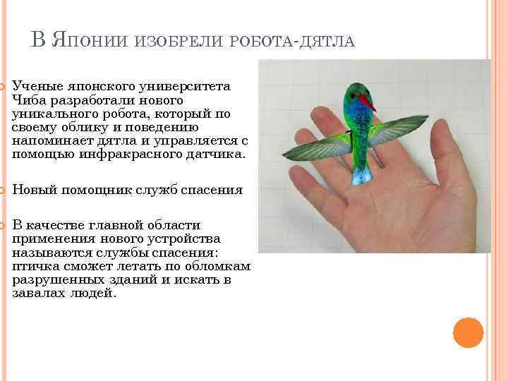 В ЯПОНИИ ИЗОБРЕЛИ РОБОТА-ДЯТЛА Ученые японского университета Чиба разработали нового уникального робота, который по