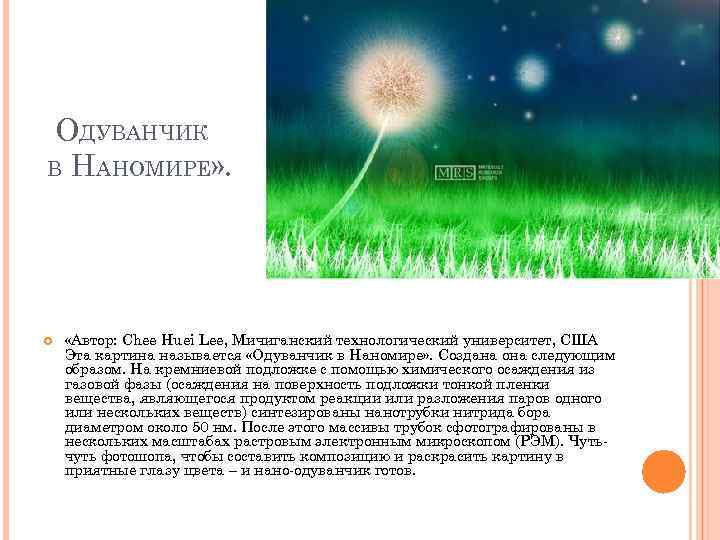 ОДУВАНЧИК В НАНОМИРЕ» . «Автор: Chee Huei Lee, Мичиганский технологический университет, США Эта картина