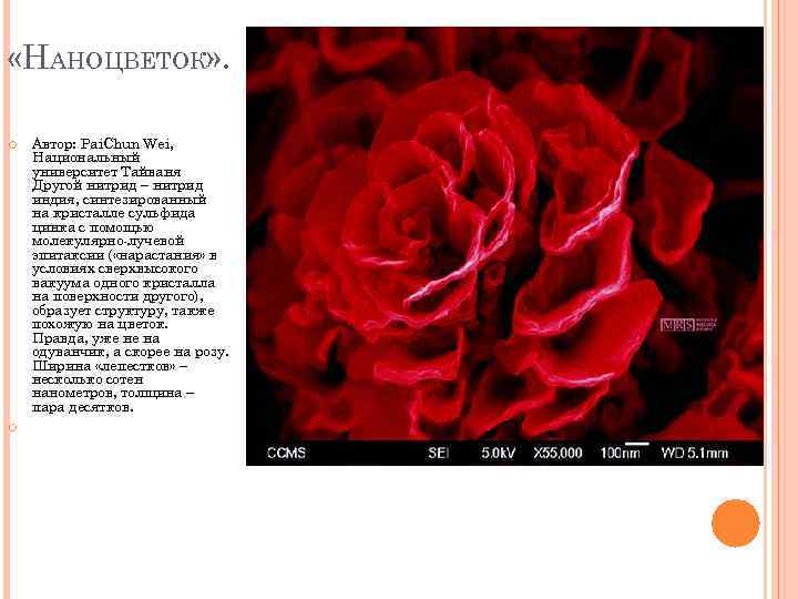  «НАНОЦВЕТОК» . Автор: Pai. Chun Wei, Национальный университет Тайваня Другой нитрид – нитрид