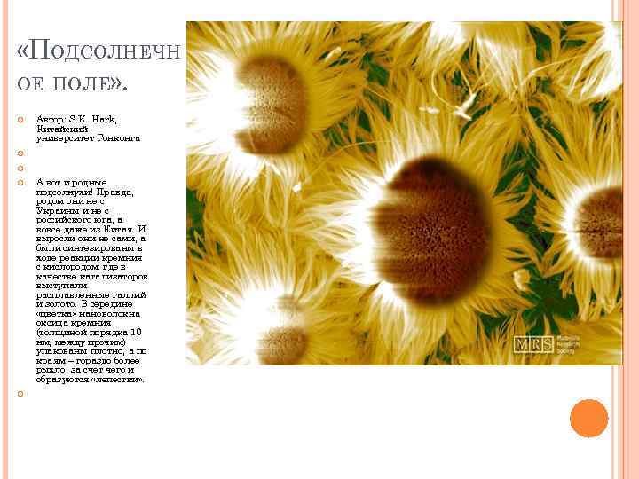  «ПОДСОЛНЕЧН ОЕ ПОЛЕ» . Автор: S. K. Hark, Китайский университет Гонконга А вот