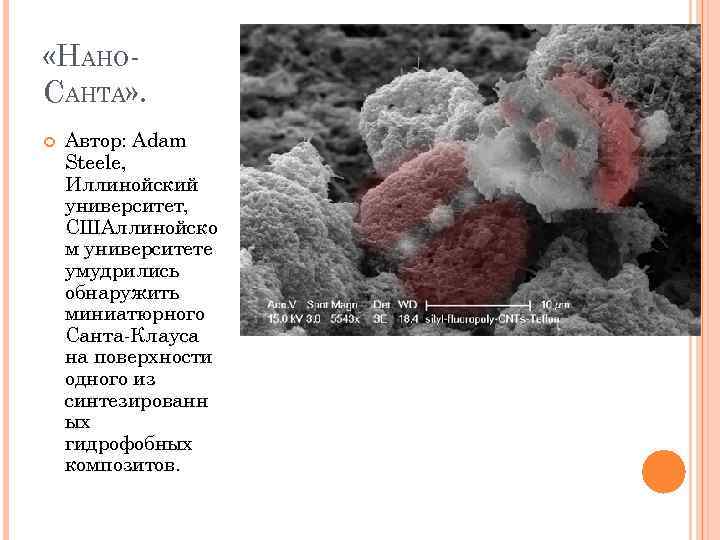  «НАНОСАНТА» . Автор: Adam Steele, Иллинойский университет, СШАллинойско м университете умудрились обнаружить миниатюрного
