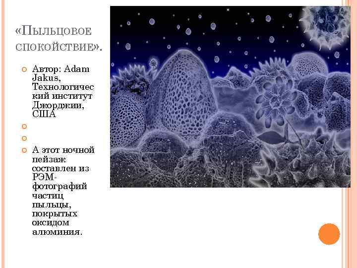  «ПЫЛЬЦОВОЕ СПОКОЙСТВИЕ» . Автор: Adam Jakus, Технологичес кий институт Джорджии, США А этот