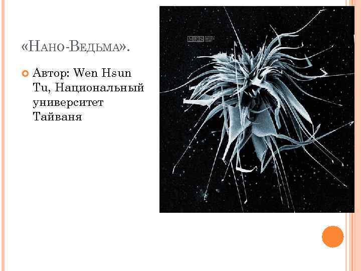  «НАНО-ВЕДЬМА» . Автор: Wen Hsun Tu, Национальный университет Тайваня 