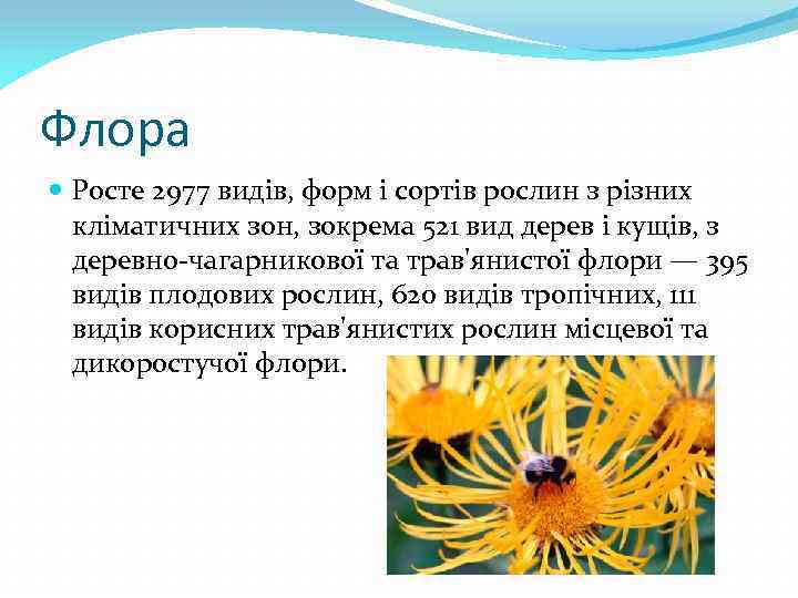 Флора Росте 2977 видів, форм і сортів рослин з різних кліматичних зон, зокрема 521