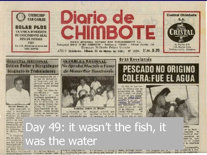 Day 49: it wasn’t the fish, it was the water 