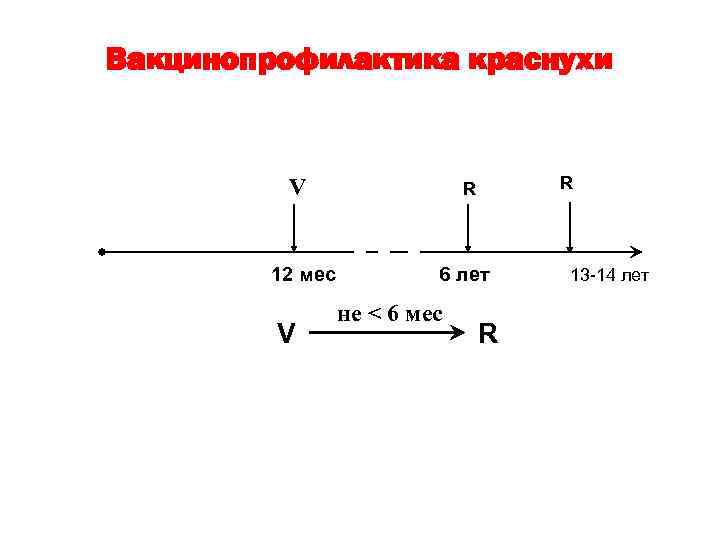 Вакцинопрофилактика краснухи V 12 мес V R R 6 лет не < 6 мес