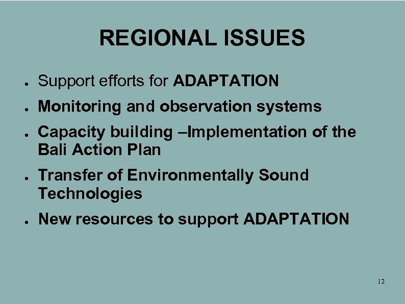 REGIONAL ISSUES ● Support efforts for ADAPTATION ● Monitoring and observation systems ● ●