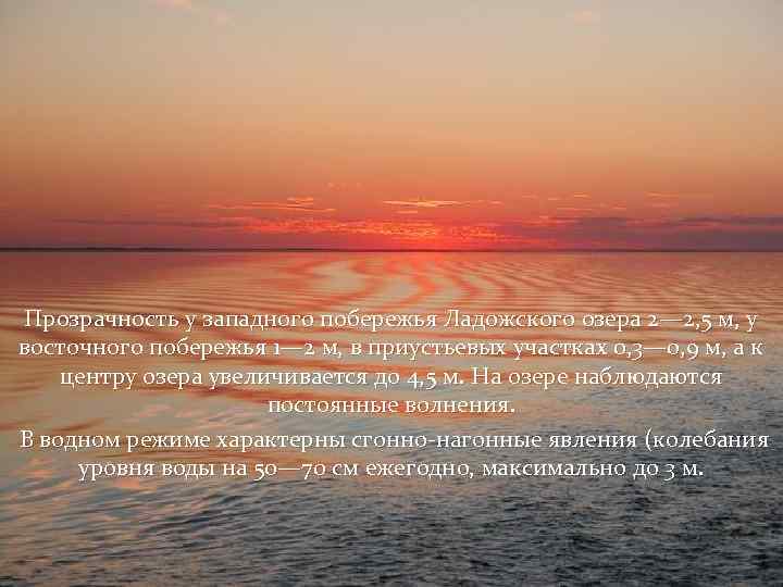 Прозрачность у западного побережья Ладожского озера 2— 2, 5 м, у восточного побережья 1—