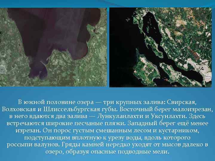 В южной половине озера — три крупных залива: Свирская, Волховская и Шлиссельбургская губы. Восточный