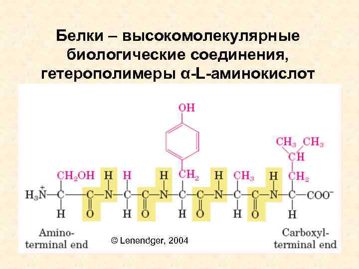 К высокомолекулярным соединениям относится. Белки это высокомолекулярные соединения. Гомополимеры и гетерополимеры. Высокомолекулярные соединения это аминокислоты. Гетерополимеры примеры.