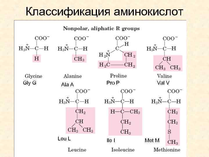 Состав радикалов аминокислот. Ионогенная группа аминокислот. Аминокислоты строение и классификация. Структурная классификация аминокислот. Физиологическая классификация аминокислот.