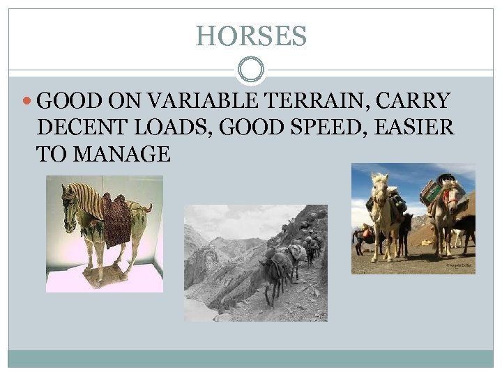 HORSES GOOD ON VARIABLE TERRAIN, CARRY DECENT LOADS, GOOD SPEED, EASIER TO MANAGE 