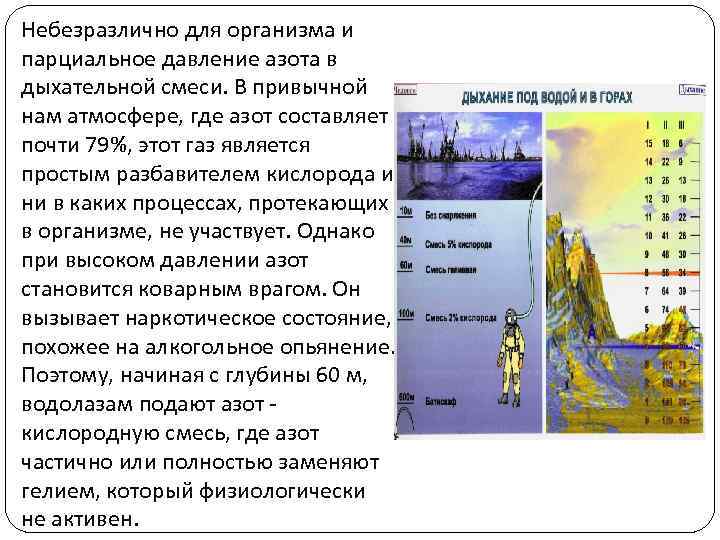 Небезразлично для организма и парциальное давление азота в дыхательной смеси. В привычной нам атмосфере,