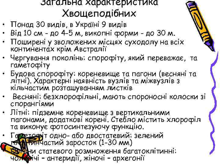 Загальна характеристика Хвощеподібних • Понад 30 видів, в Україні 9 видів • Від 10