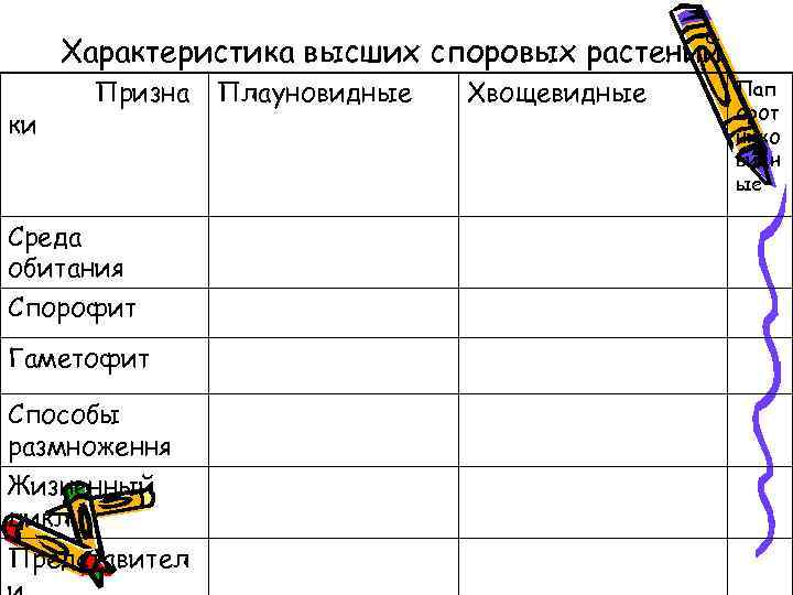 Характеристика высших споровых растений ки Призна Среда обитания Спорофит Гаметофит Способы размноження Жизненный цикл