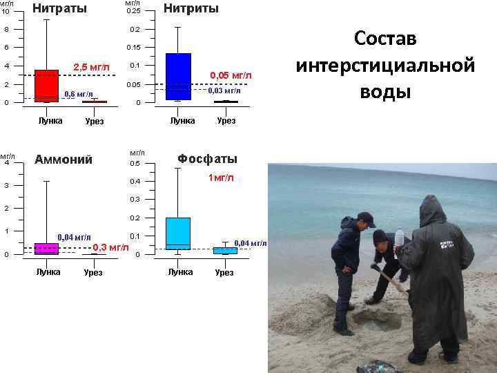 Состав интерстициальной воды 