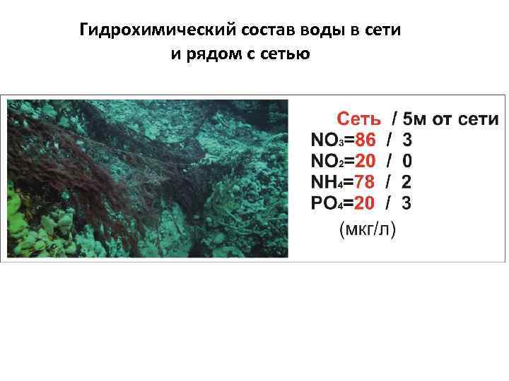 Гидрохимический состав воды в сети и рядом с сетью 