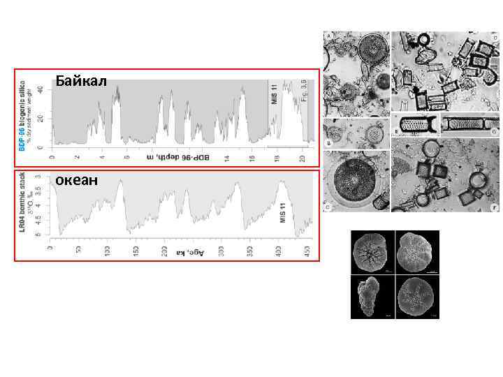 Байкал Prokopenko et al. , 2010 океан 