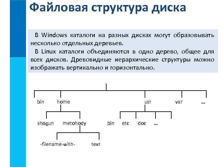 Файловая структура диска В Windows каталоги на разных дисках могут образовывать несколько отдельных деревьев.