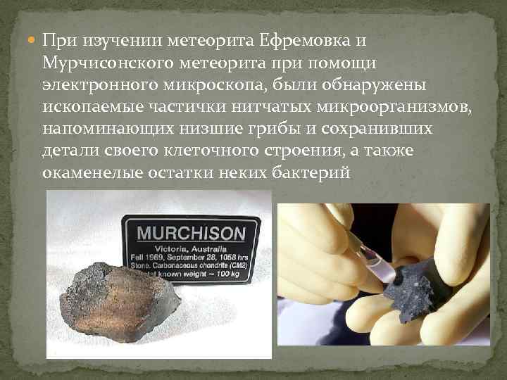  При изучении метеорита Ефремовка и Мурчисонского метеорита при помощи электронного микроскопа, были обнаружены