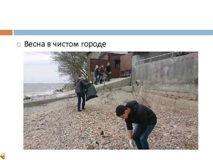  Весна в чистом городе 