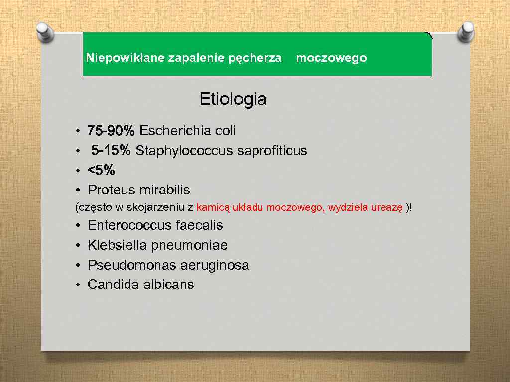 Niepowikłane zapalenie pęcherza moczowego Etiologia • • 75 -90% Escherichia coli 5 -15% Staphylococcus
