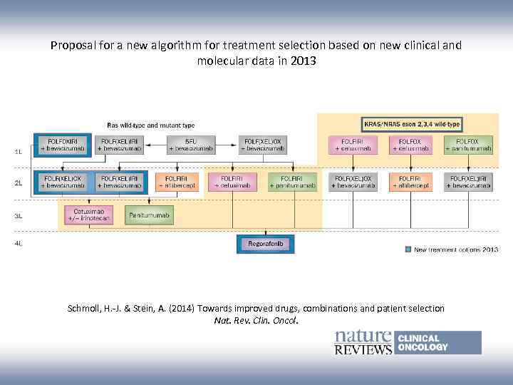 Proposal for a new algorithm for treatment selection based on new clinical and molecular