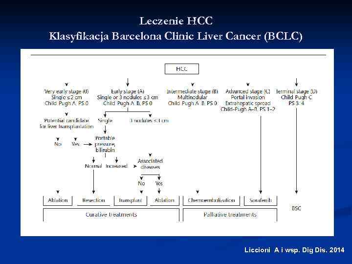 Leczenie HCC Klasyfikacja Barcelona Clinic Liver Cancer (BCLC) Liccioni A i wsp. Dig Dis.