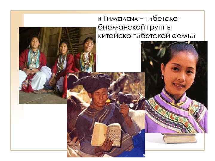 в Гималаях – тибетскобирманской группы китайско-тибетской семьи 