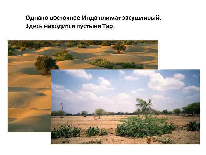 Однако восточнее Инда климат засушливый. Здесь находится пустыня Тар. 