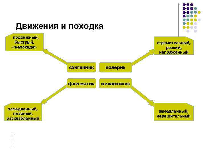 Движения и походка подвижный, быстрый, «непоседа» стремительный, резкий, напряженный сангвиник флегматик замедленный, плавный, расслабленный