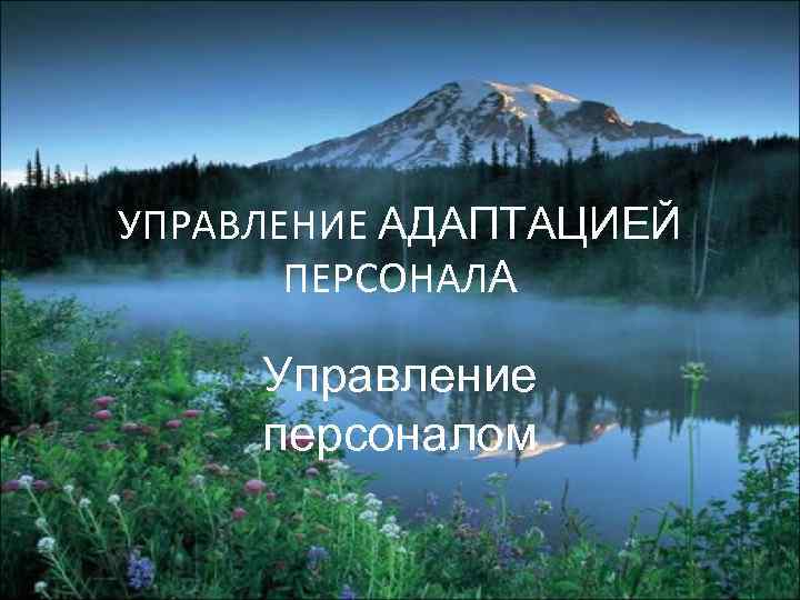 УПРАВЛЕНИЕ АДАПТАЦИЕЙ ПЕРСОНАЛА Управление персоналом 