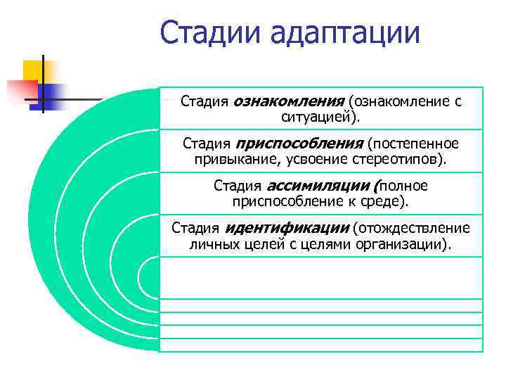 Стадии адаптации Стадия ознакомления (ознакомление с ситуацией). Стадия приспособления (постепенное привыкание, усвоение стереотипов). Стадия