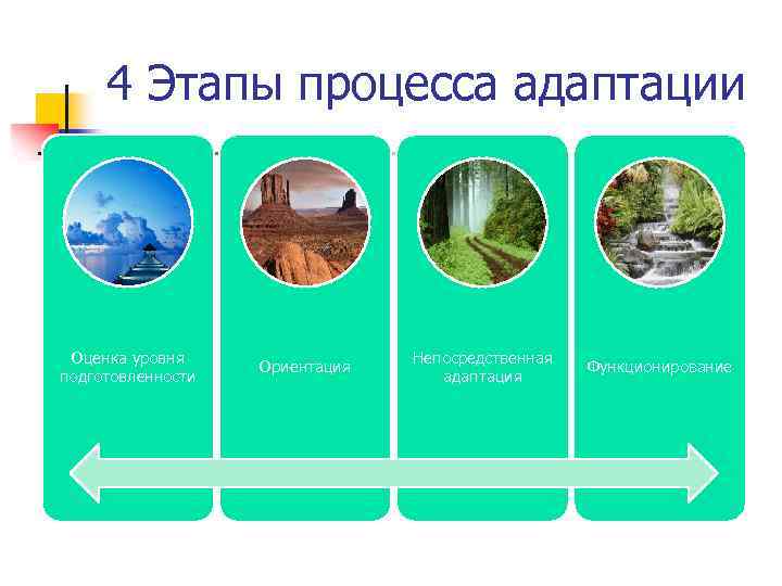 4 Этапы процесса адаптации Оценка уровня подготовленности Ориентация Непосредственная адаптация Функционирование 