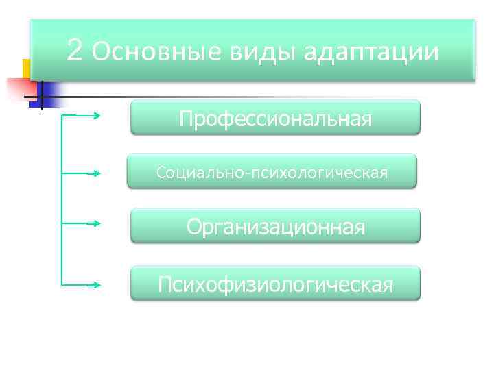 2 Основные виды адаптации Профессиональная Социально-психологическая Организационная Психофизиологическая 
