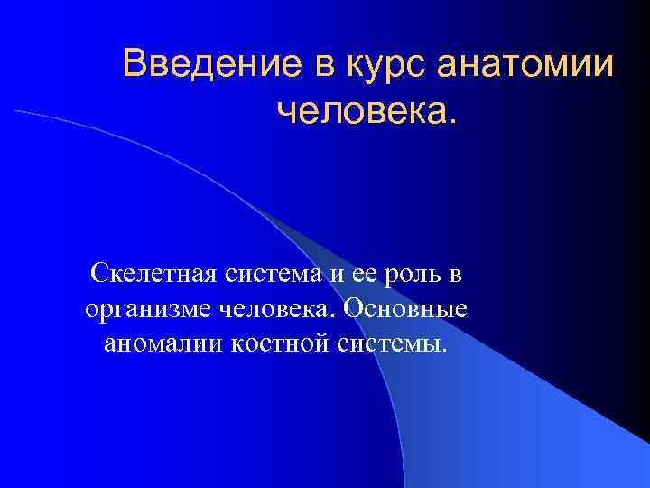 Введение в курс анатомии человека. Скелетная система и ее роль в организме человека. Основные